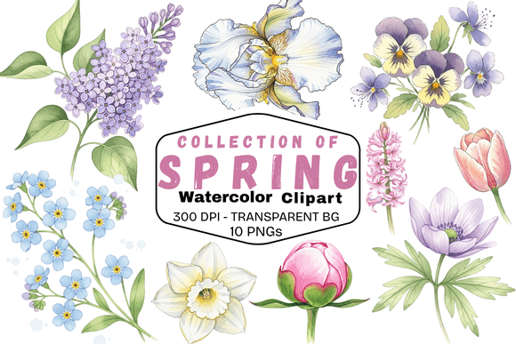 Download Delicate Spring Watercolor Florals - Spring Collection
